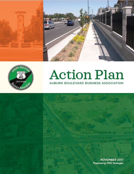 Action-Plan-2017-Front-Page