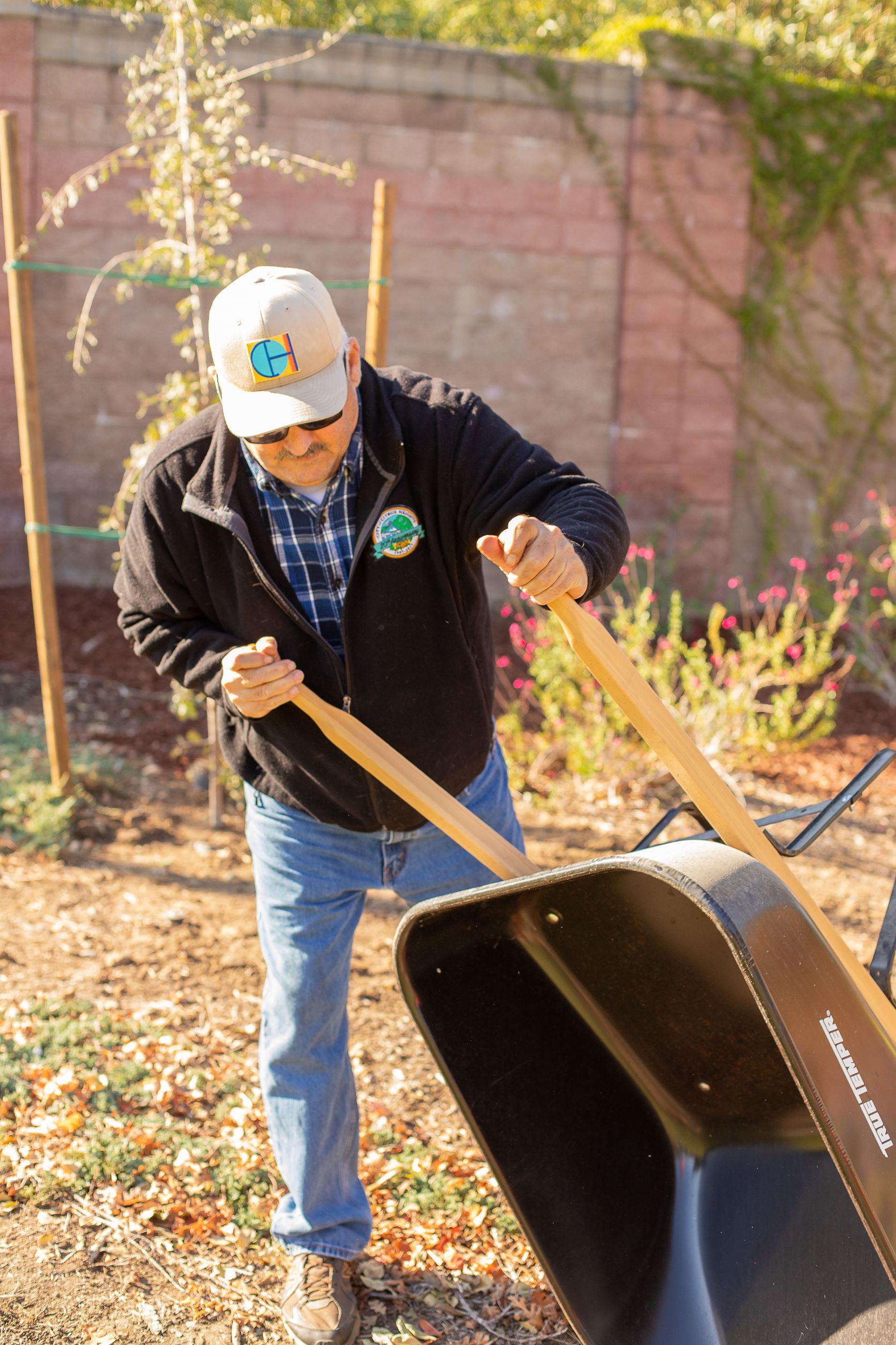 Citrus Heights Volunteer Day Man with Wheelbarrow 