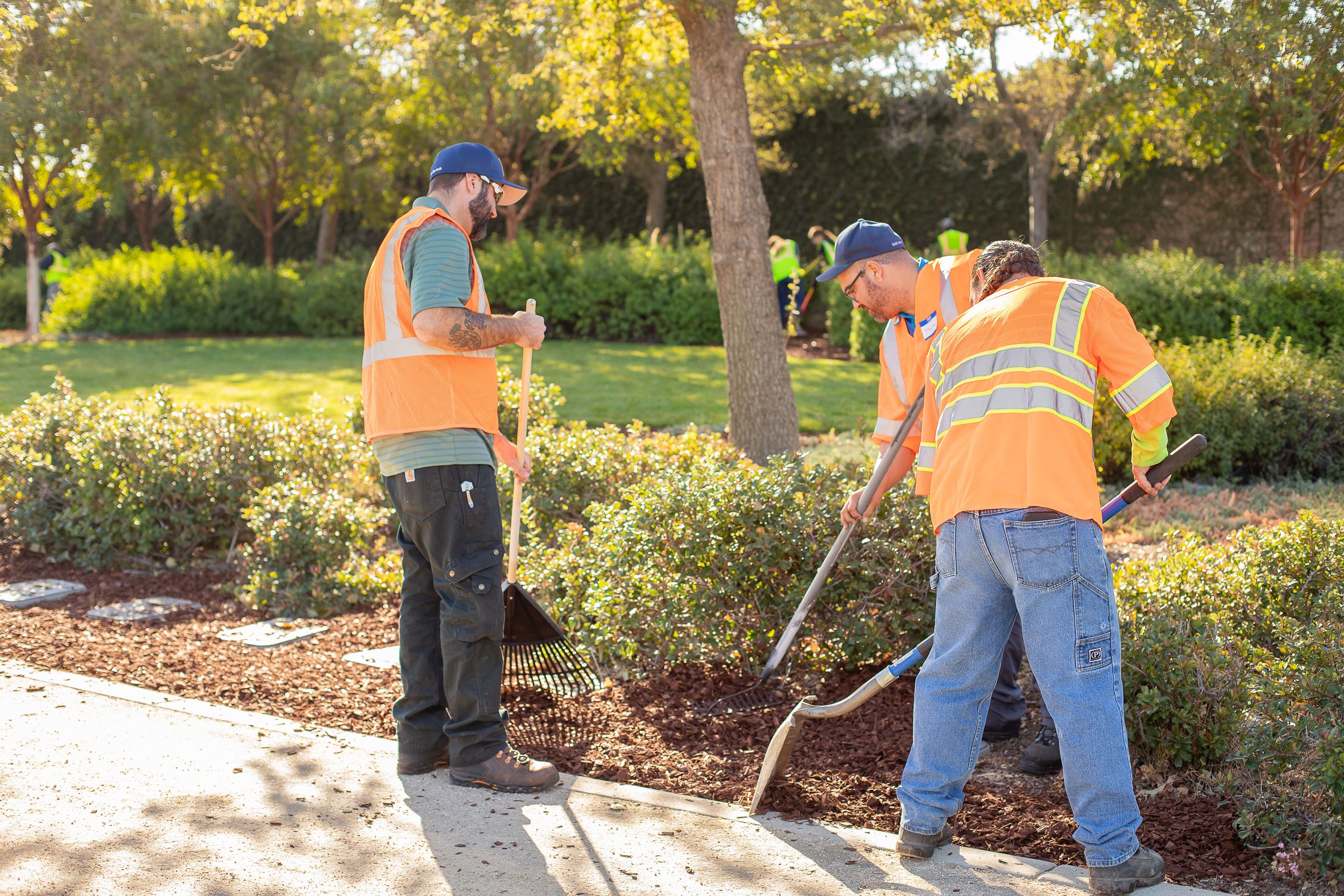 Citrus Heights Volunteer Day three men raking and shoveling bark