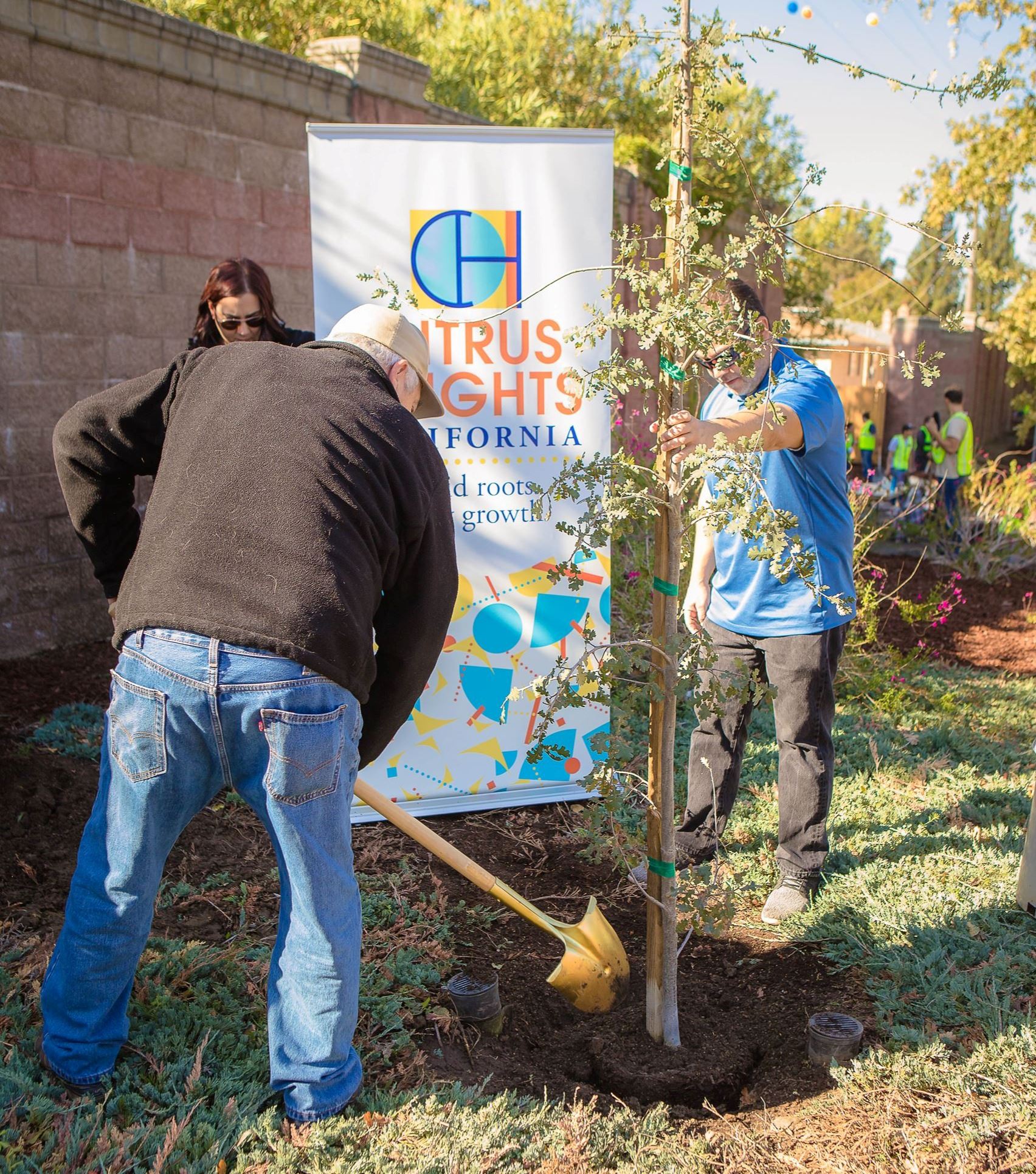 Volunteers planting trees with the city