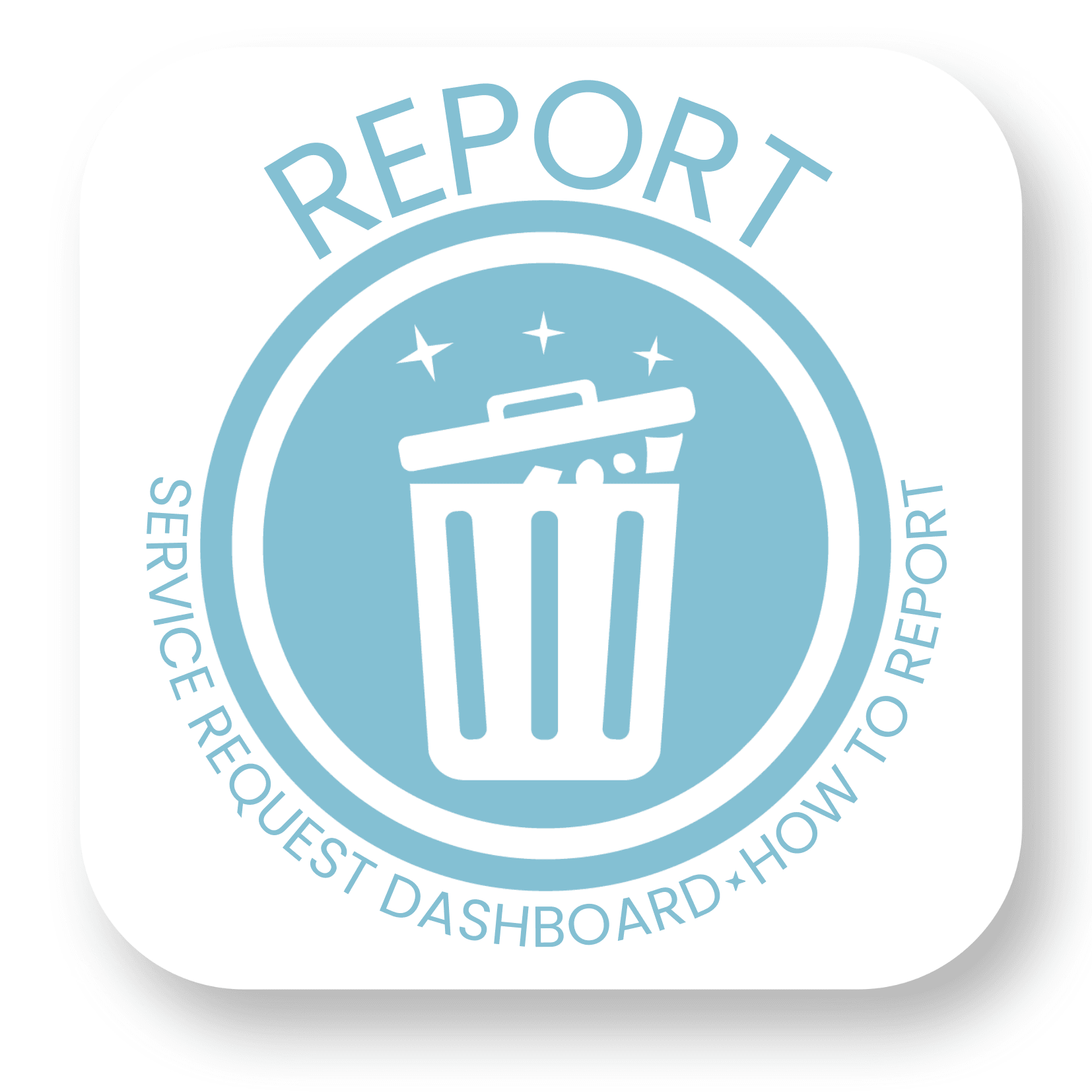 Report