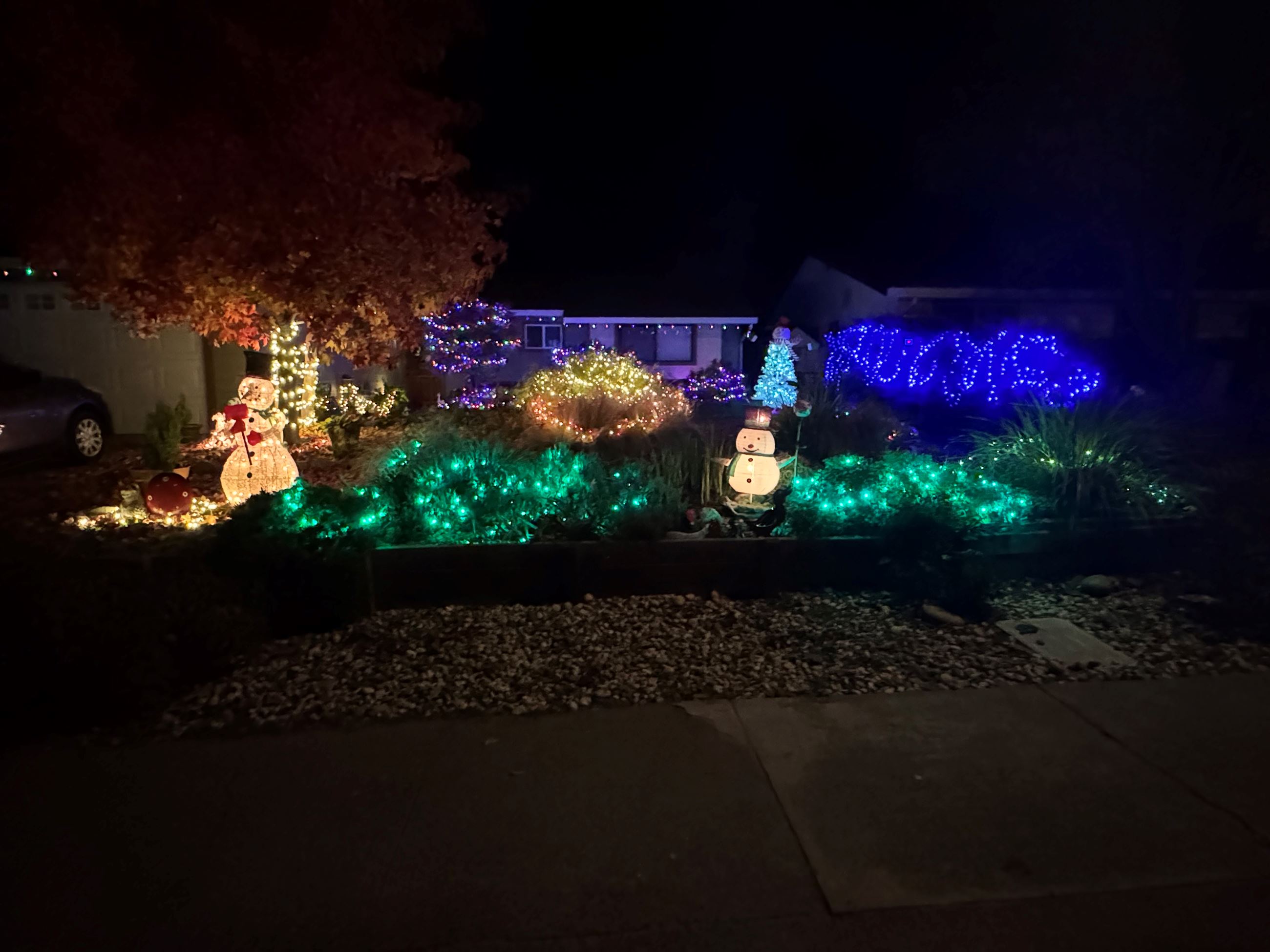 House with holiday lights.