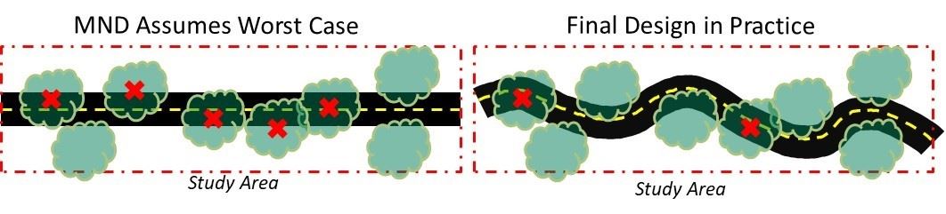 Tree Scenario Image