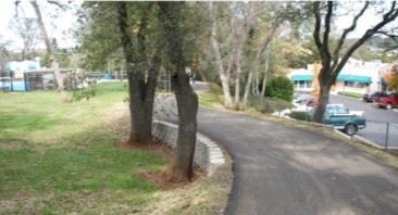Trail with Retaining Wall