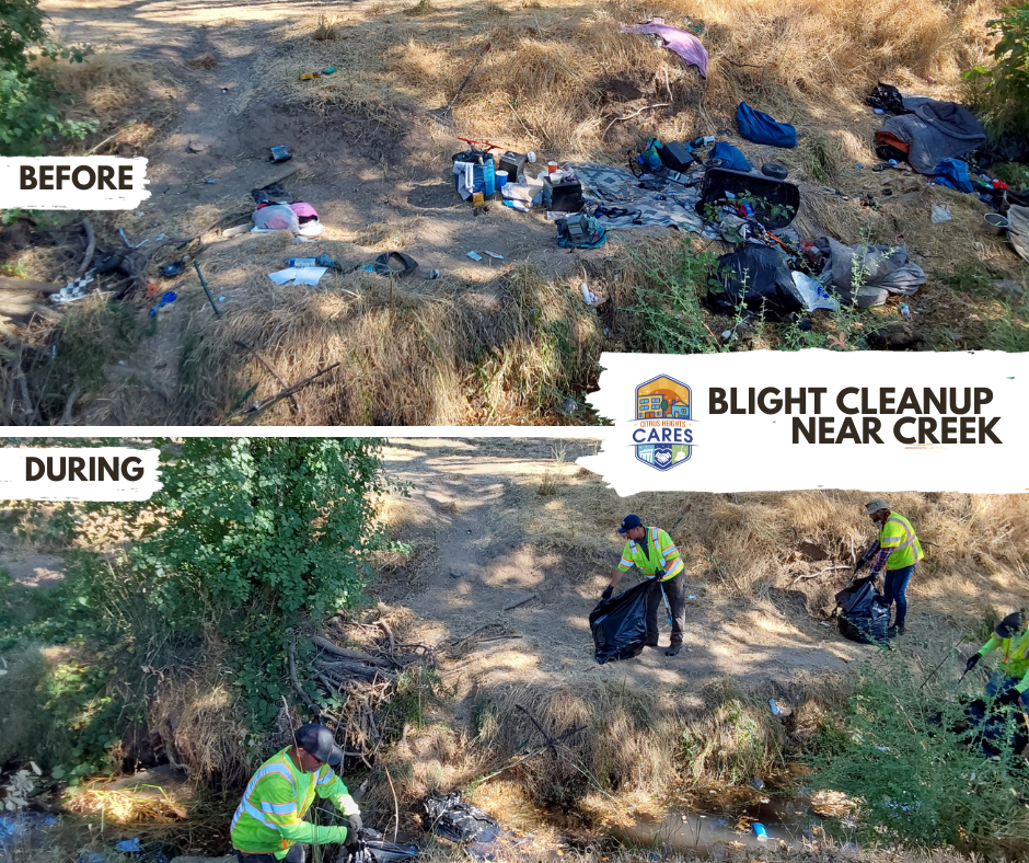 creek clean up before and during