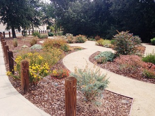 Stock Ranch Garden